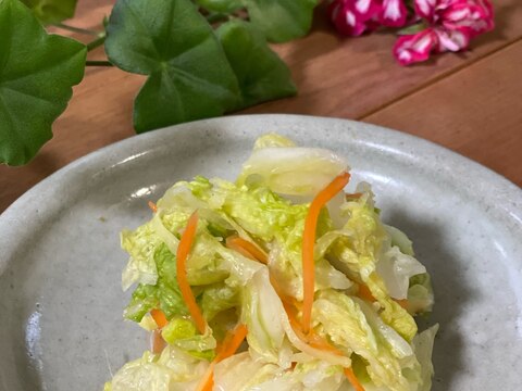 ビニール袋で❣️白菜の浅漬け生姜味